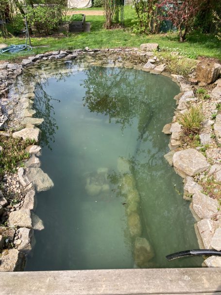 Klares Wasser im Teich