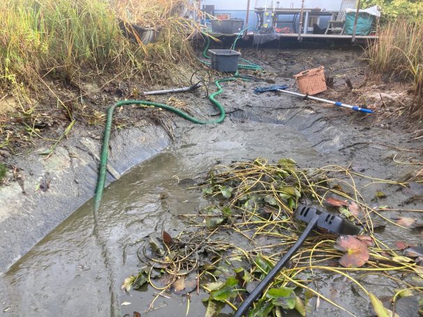 Teich nach Naturagart-Prinzip 11/25 Sedimentablagerung Teich