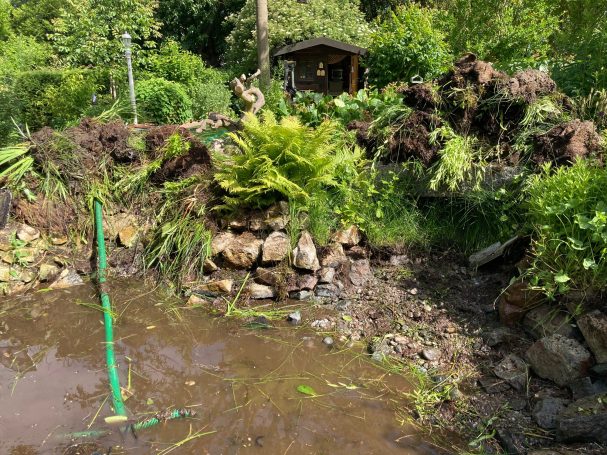 Teich in Seeheim Jugenheim 05/2025 Pflanzen entfernen im Teich