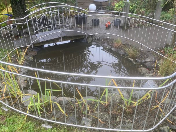Neu angelegter Teich