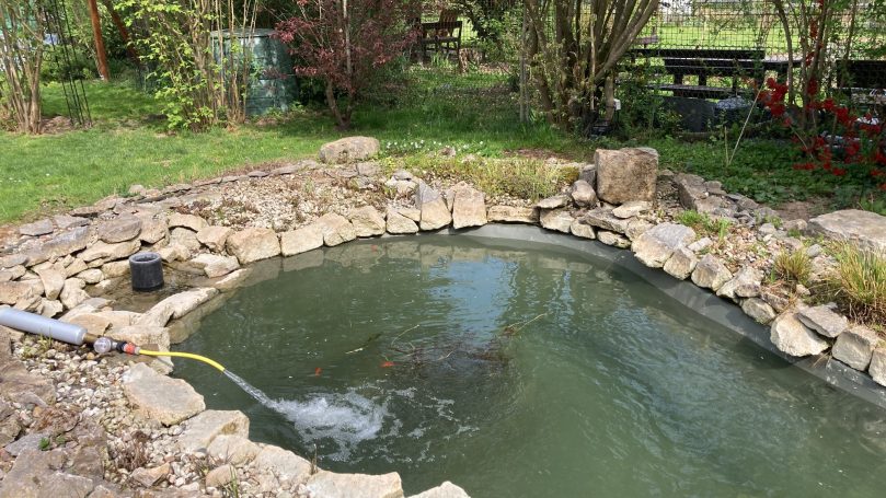 Frischwasser Teich