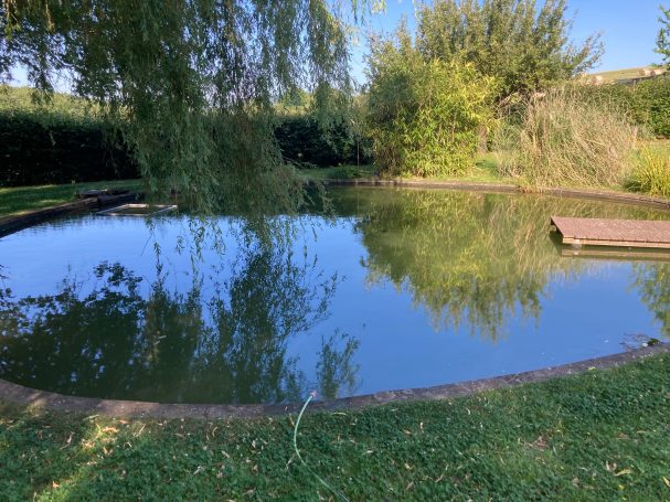 Koiteich Hofheim Taunus 06/25 Idyllischer Teich