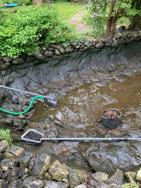 Teichschlamm Kescher