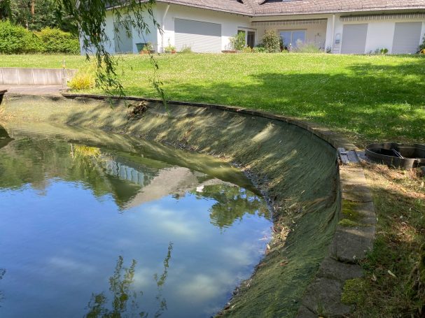 Koiteich Hofheim Taunus 06/25 Oberflächenskimmer Teichskimmer