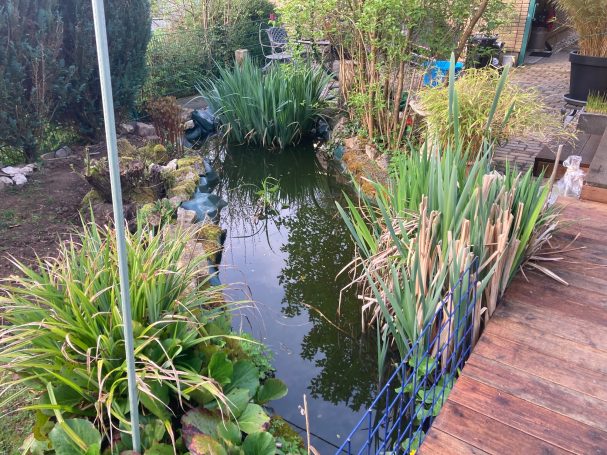 Bachlauf zum Teich
