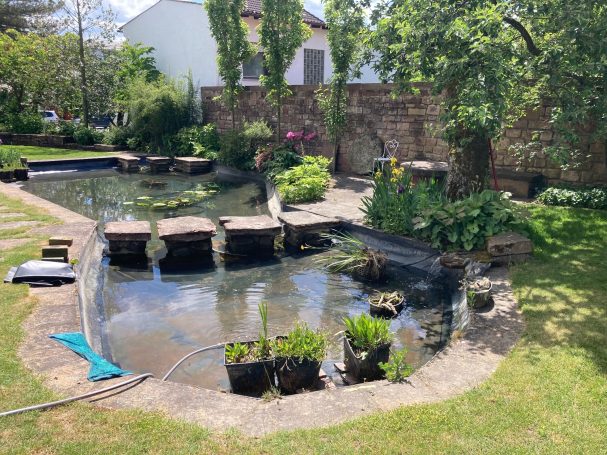 Quellstein im Teich