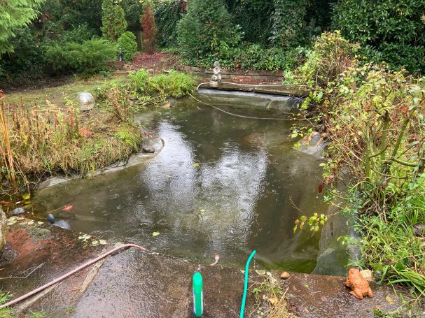 Leitungswasser im Teich