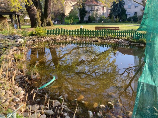 verschlammter Teich