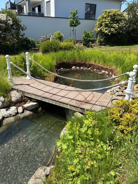 Teich in Hainburg 2026 Teichbrücke aus Holz
