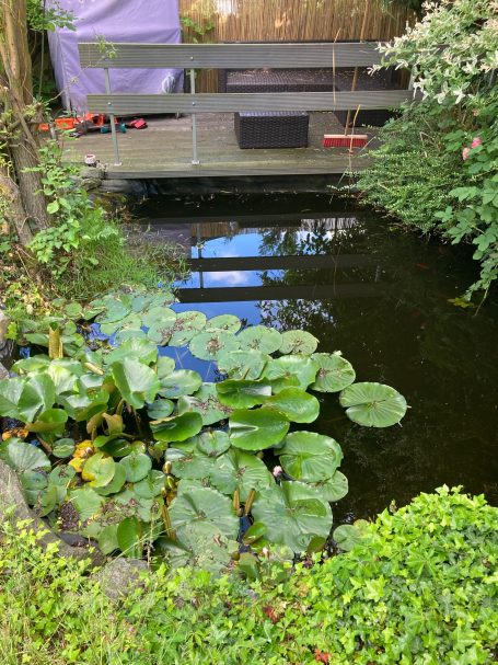 Teich verliert Wasser